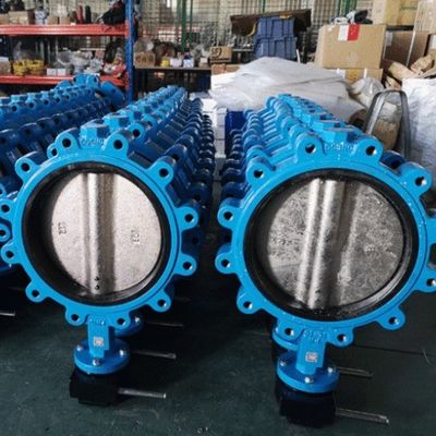カスタマイズされたJIS 10k/5k PN10/16 アルミ ブロンズ ステンレス ステンレス ボディ EPDM NBR PTFE シート ラグ タイプ バターフライ