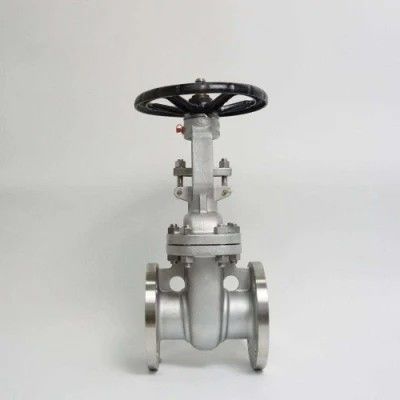 ANSI API 150Lb 300lb 3 インチ 4 インチ Y タイプ マニュアルステンレス鋼フラングゲートバルブ