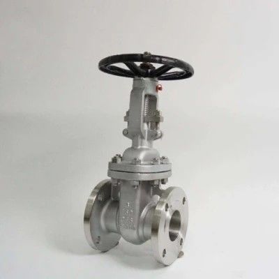 ANSI API 150Lb 300lb 3 インチ 4 インチ Y タイプ マニュアルステンレス鋼フラングゲートバルブ