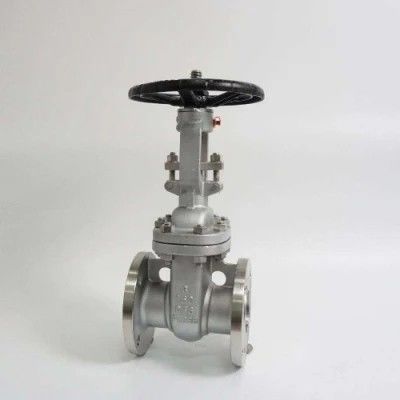 ANSI API 150Lb 300lb 3 インチ 4 インチ Y タイプ マニュアルステンレス鋼フラングゲートバルブ