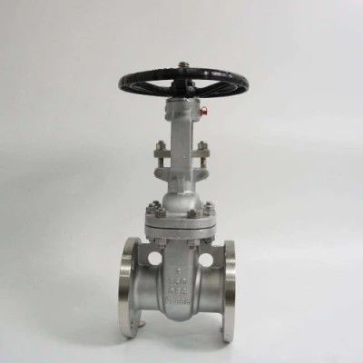 ANSI API 150Lb 300lb 3 インチ 4 インチ Y タイプ マニュアルステンレス鋼フラングゲートバルブ