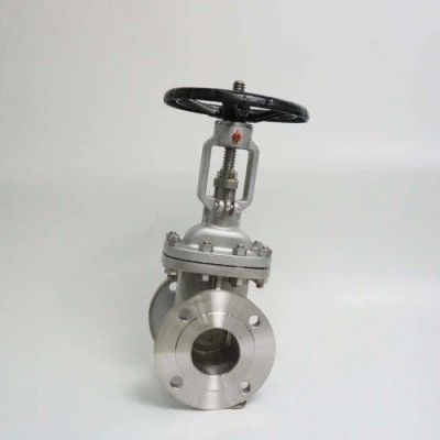 ANSI API 150Lb 300lb 3 インチ 4 インチ Y タイプ マニュアルステンレス鋼フラングゲートバルブ