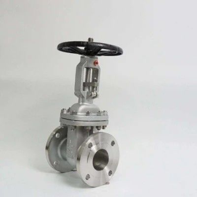 ANSI API 150Lb 300lb 3 インチ 4 インチ Y タイプ マニュアルステンレス鋼フラングゲートバルブ
