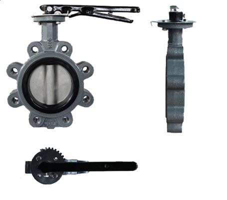 API609 EPDM コーナー付き PTFE 鋳鉄ラグ型ウェッファー バターフライバル