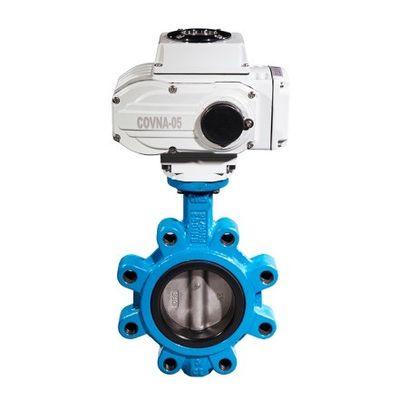 カスタマイズされたJIS 10k/5k PN10/16 アルミ ブロンズ ステンレス ステンレス ボディ EPDM NBR PTFE シート ラグ タイプ バターフライ