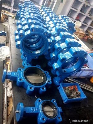 カスタマイズされたJIS 10k/5k PN10/16 アルミ ブロンズ ステンレス ステンレス ボディ EPDM NBR PTFE シート ラグ タイプ バターフライ
