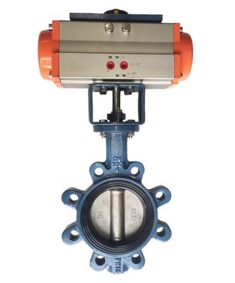 カスタマイズされたJIS 10k/5k PN10/16 アルミ ブロンズ ステンレス ステンレス ボディ EPDM NBR PTFE シート ラグ タイプ バターフライ