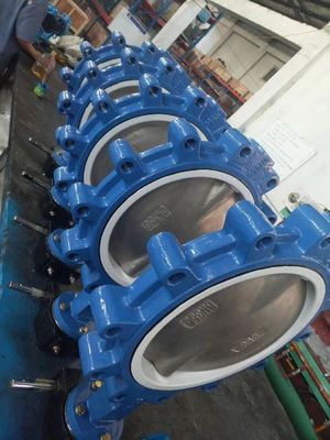鋳型柔らかい鉄 SS Lt ウェッファータイプ バターフライバル EPDM PTFE 密封リング オーダーメイド