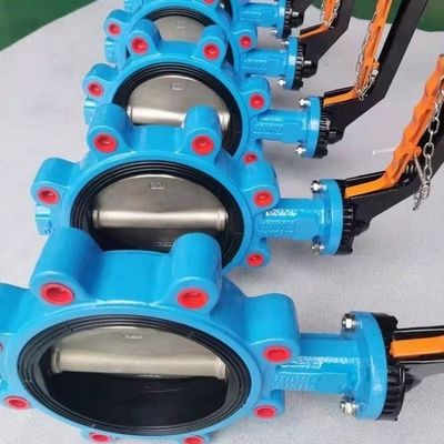 鋳型柔らかい鉄 SS Lt ウェッファータイプ バターフライバル EPDM PTFE 密封リング オーダーメイド