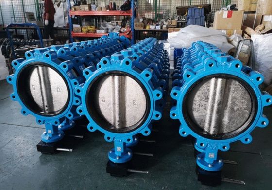 鋳型柔らかい鉄 SS Lt ウェッファータイプ バターフライバル EPDM PTFE 密封リング オーダーメイド