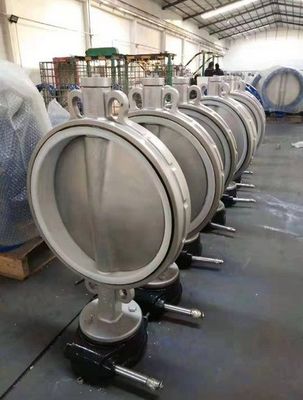 高圧および高温環境のためのカスタマイズされた柔らかい鉄蝶閥