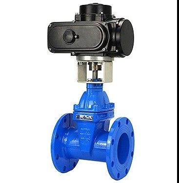 入手可能OEM 炭素鋼 WCB NKZ961H 電動フレンズ真空ゲートバルブ標準DIN F6