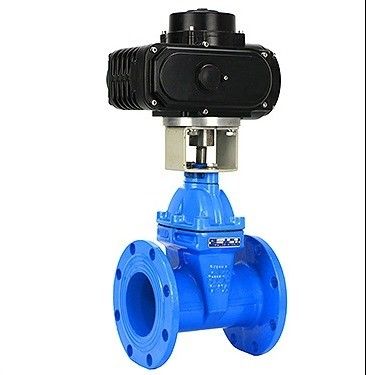 入手可能OEM 炭素鋼 WCB NKZ961H 電動フレンズ真空ゲートバルブ標準DIN F6