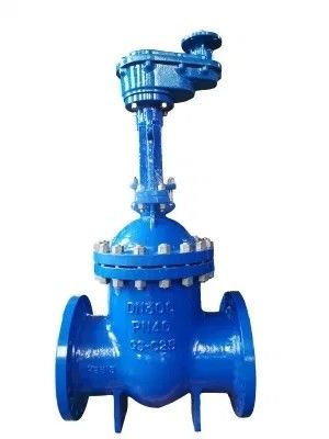 通常温度の水分配給のための上級空気放出バルブ