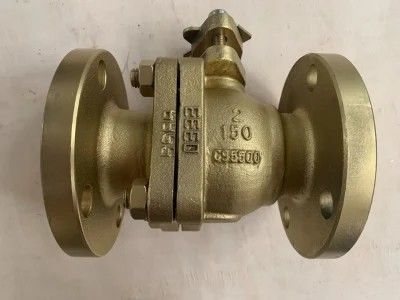 OBMのカスタマイズされたサポートと優れたステンレス鋼工業パイプリリースバルブ