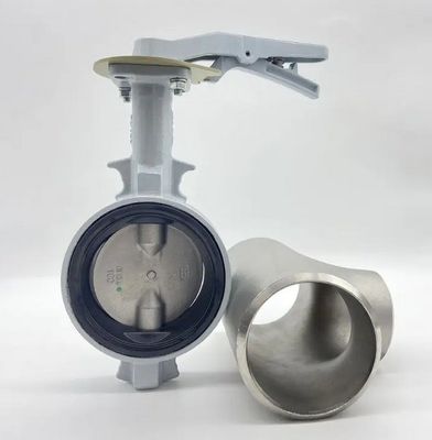 ポートサイズと顧客の要求 海水蝶弁 DN100 DN500 2" 4