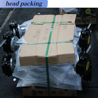 ポートサイズと顧客の要求 海水蝶弁 DN100 DN500 2" 4