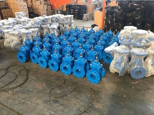 ゲートバルブ DIN3352 F4 鋳鉄 耐久性座りバルブ ステンレス鋼のトリミング