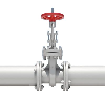 製造者向けにカスタマイズされたバックフロー防止水力制御チェック排水バルブ