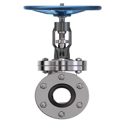 カスタマイズされたサービス 300mm CE 6 インチ上昇幹 DI CI 柔らかい鉄フレンズゲートバルブ