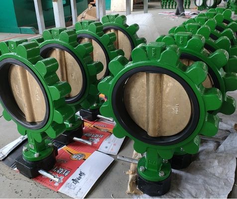 鋳鉄 バターフライ バルブ 衛生用水力装置の究極の解決策