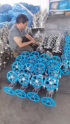 販売 Y型ステンレス鋼ゲートバルブ 手動操作と金属またはゴムシール