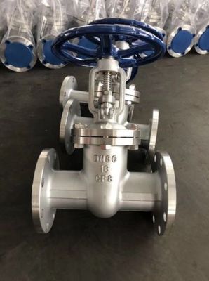 WCB DN500 PN25 ゲートバルブ カーボン鋼/鋳鉄/ステンレス鋼のOEM用に利用可能