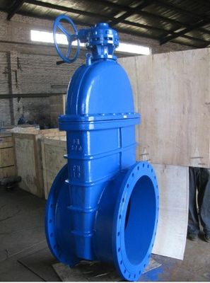 一般標準鋳鉄ゲートバルブ パーソナライズされたサービスニーズ
