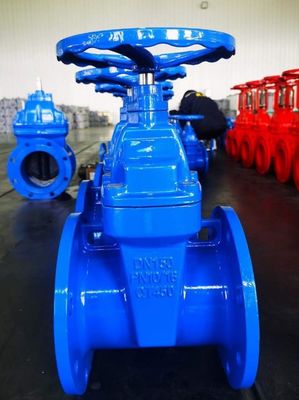 200psi DN200 pn16 GGG50 ゴム EPDM 弾性シートボルト ボンネットゲートバルブ 水用