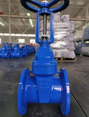 200psi DN200 pn16 GGG50 ゴム EPDM 弾性シートボルト ボンネットゲートバルブ 水用