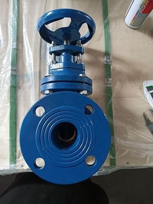 DIN3352 F4 Di GGG40/GGG50 フランジェドエンド メタルシールゲートバルブ カスタマイズされたポートサイズ