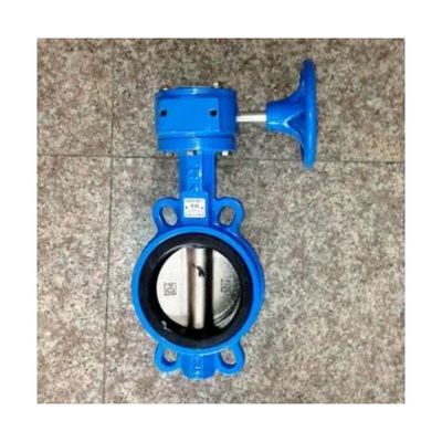 OEM 鋳鉄 ワームギア オペレーター ダブル フレンズ EPDM/NBR シート ステンレス スチール ディスク ラグ ウェッファー バターフライ バルブ