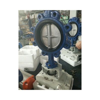 弁構造 Awwa C504 鋳鉄ラグ型バタフライバル OBMのカスタマイズ