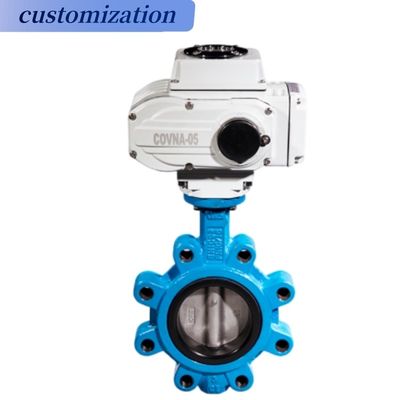 弁構造 Awwa C504 鋳鉄ラグ型バタフライバル OBMのカスタマイズ