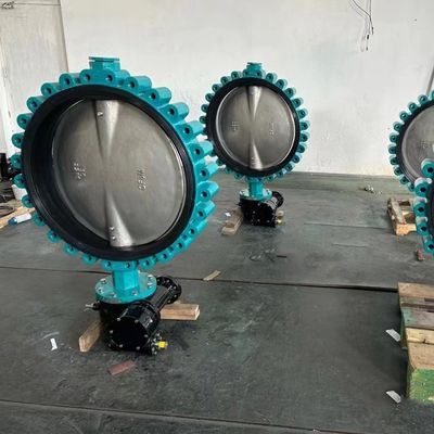 EPDM シートソフトシールレバー 操作されたウェッファーラグ バターフライバル カスタマイズされたオプション