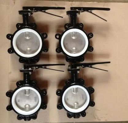 パーソナライズされたサービス 標準 柔らかい鉄のラグタイプ バターフライバル