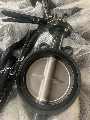 バックウォーター バルブ ウェッファータイプ JIS API 150LB PN16 韓国 バターフライ バルブ ウォーター オイル&ガス