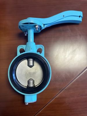 FMCラグタイプのための不?? 鋼バタフライバル オーダーメイドとOEMサポートによってサポート