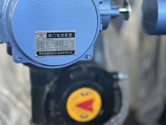 パーソナライズされたサービス SS304ステンレスステール ハンドレバー付き衛生蝶弁