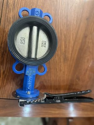 工業用で手動操作するための200mmPTFE包帯バタフライバル