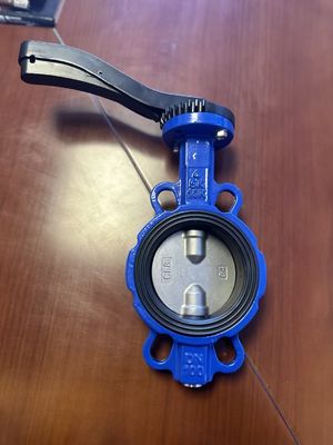 OEM ポートサイズ サポートされた販売後サービス付き 鋳鉄拡張バタフライバル