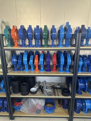 OEM ポートサイズ サポートされた販売後サービス付き 鋳鉄拡張バタフライバル