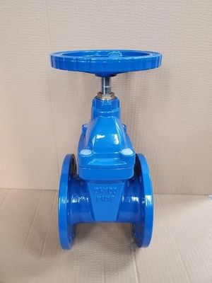 柔らかい密封とスルーズゲート性能のためのY型構造ゲートバルブ