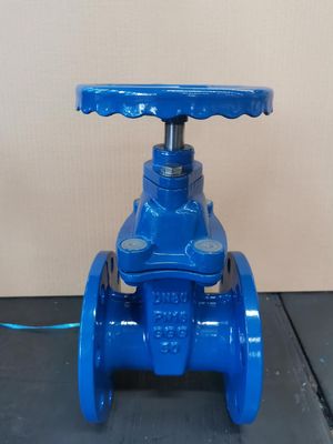 柔らかい密封とスルーズゲート性能のためのY型構造ゲートバルブ