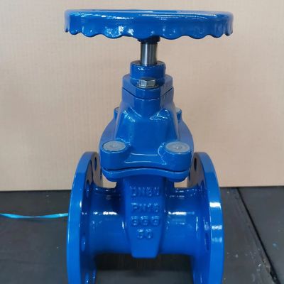 メディアの温度 高温制御水 PN20 下水道ゲートバルブ