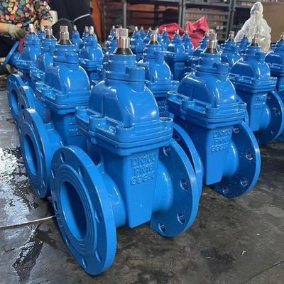 メディアの温度 高温制御水 PN20 下水道ゲートバルブ
