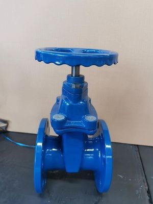 水媒 DN600 PPR OEM柔軟性のあるフィッティングゲートバルブ