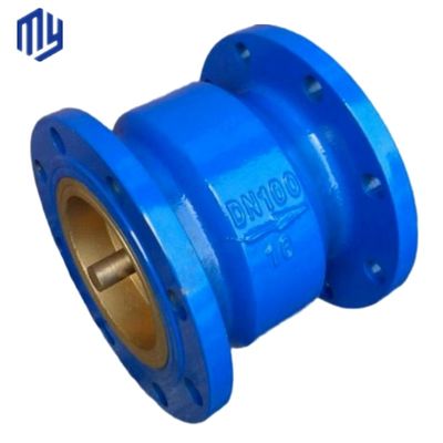 弁構造 Hc41x Pn10 Pn16 吸水ポンプ ダブルフレンズマフラー 静かなチェックバルブ