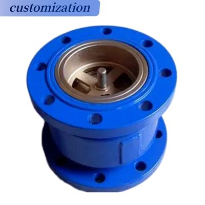 弁構造 Hc41x Pn10 Pn16 吸水ポンプ ダブルフレンズマフラー 静かなチェックバルブ