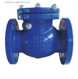 CI/DI/WCB/SS DN250 PN16 フレンズエンド 制御可能なポートサイズを持つスイングチェックバルブ